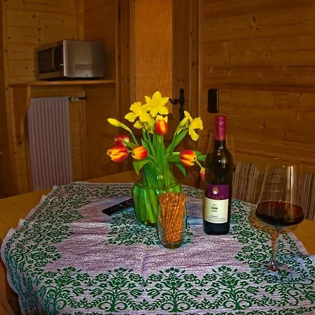 Saegfeiler Apartment *